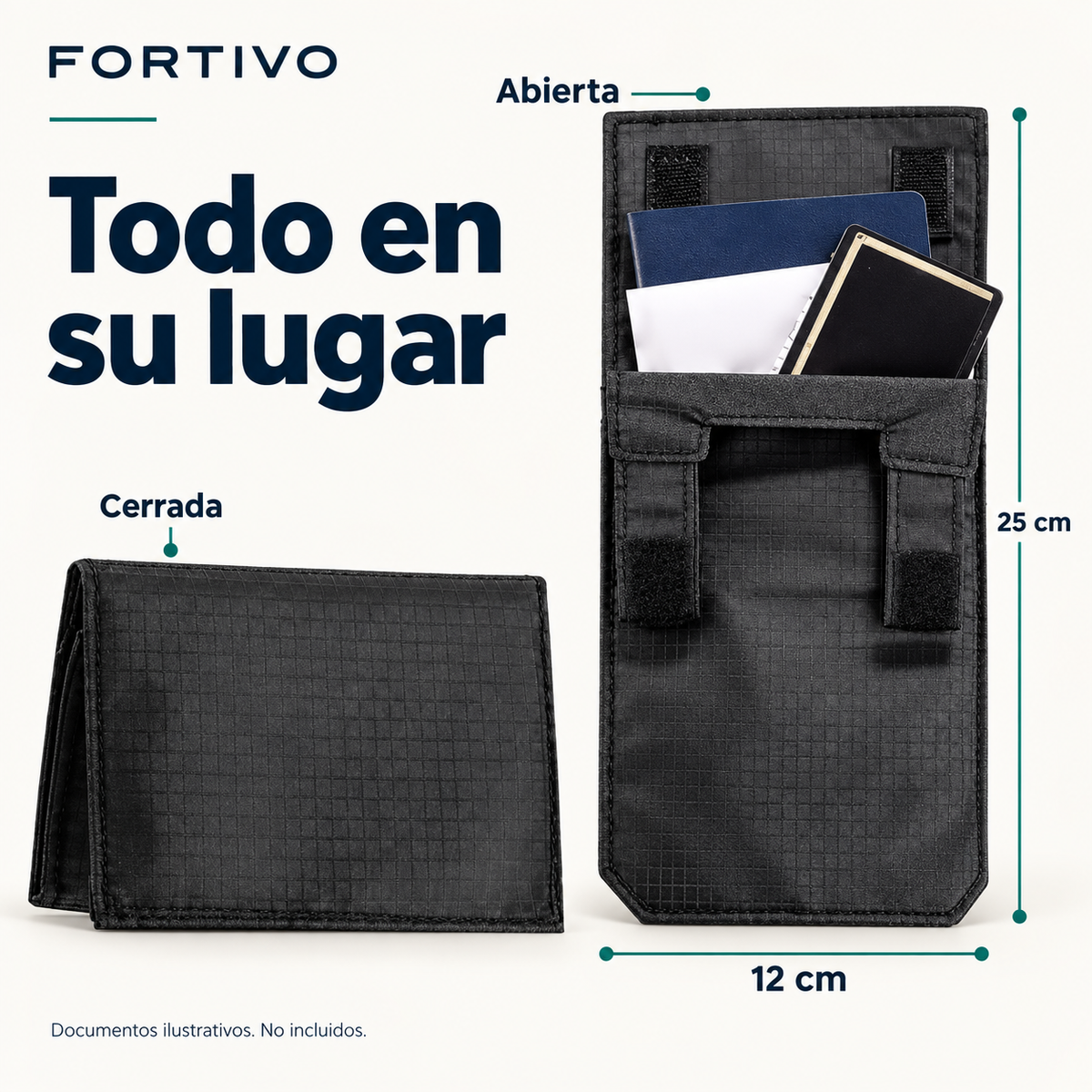 Organización y dimensiones de la cartera Fortivo